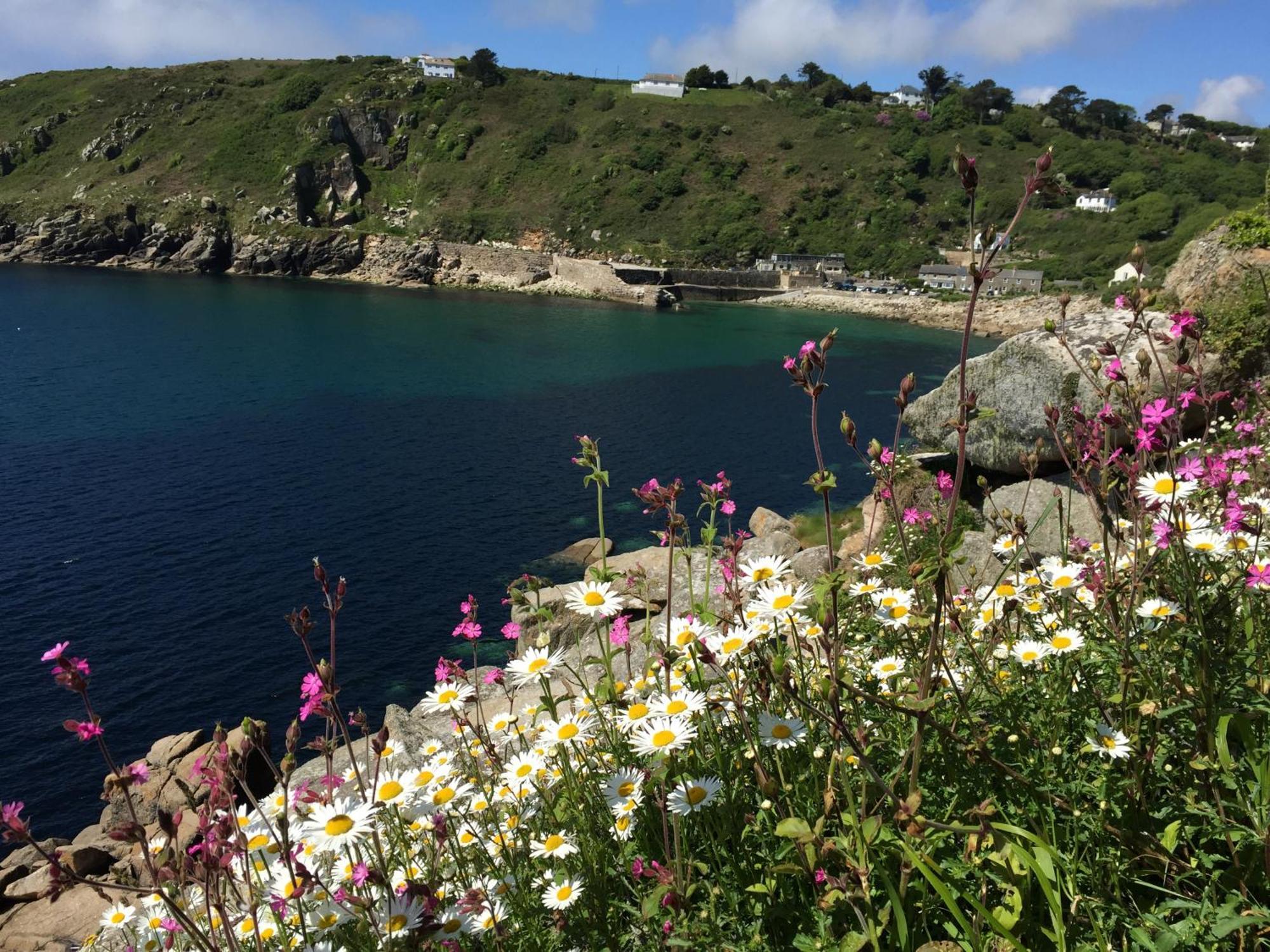 Roselands Caravan Park, Nr Lands End, Cornwall 圣贾斯特 外观 照片