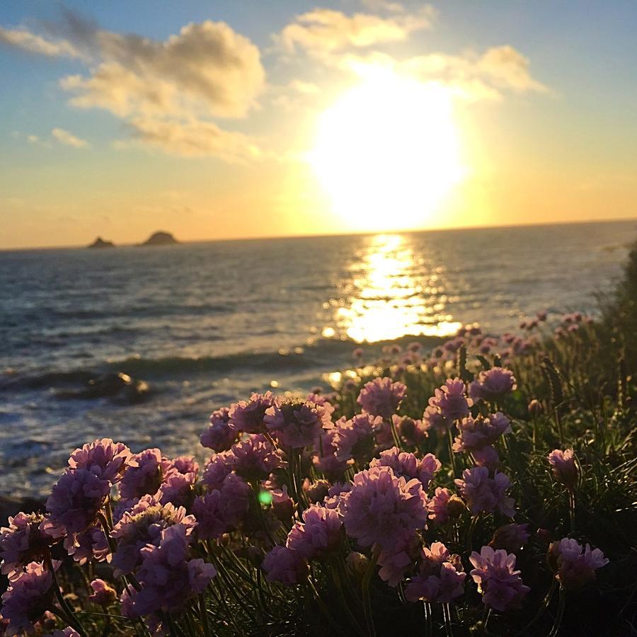 Roselands Caravan Park, Nr Lands End, Cornwall 圣贾斯特 外观 照片
